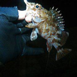 風が吹いたり止んだり